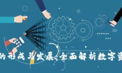 虚拟币钱包的形成与发展：全面解析数字资产安