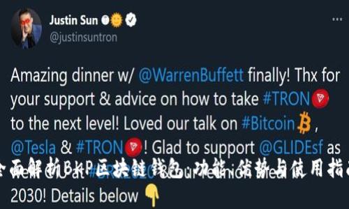 全面解析BKP区块链钱包：功能、优势与使用指南