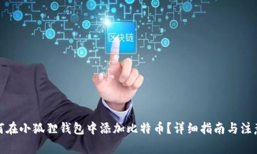 : 如何在小狐狸钱包中添加比特币？详细指南与注意事项