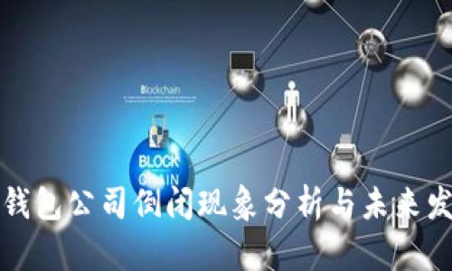 比特币钱包公司倒闭现象分析与未来发展趋势