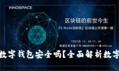 : 比特币放在数字钱包安全吗？全面解析数字钱包
