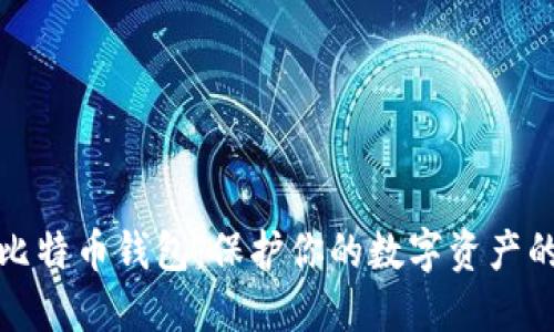 深入了解比特币钱包：保护你的数字资产的首要选择