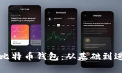 如何高效使用比特币钱包：从基础到进阶的全面