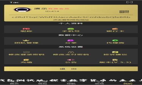 比特币钱包测试版：探索数字货币的未来与安全性
