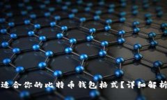 如何选择最适合你的比特币钱包格式？详细解析