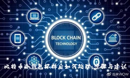 比特币冷钱包坏掉后如何处理：步骤与建议