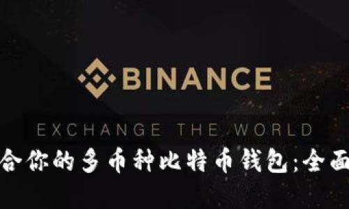 如何选择适合你的多币种比特币钱包：全面指南与策略