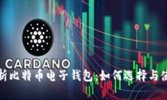 全面解析比特币电子钱包：如何选择与使用技巧