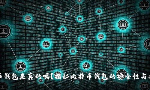 比特币钱包是真的吗？揭秘比特币钱包的安全性与合法性