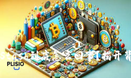 区块链钱包PlusStash到底怎么回事？揭开背后的真相与前景