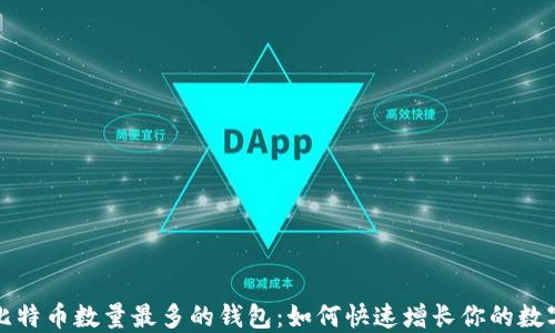 
揭秘比特币数量最多的钱包：如何快速增长你的数字资产