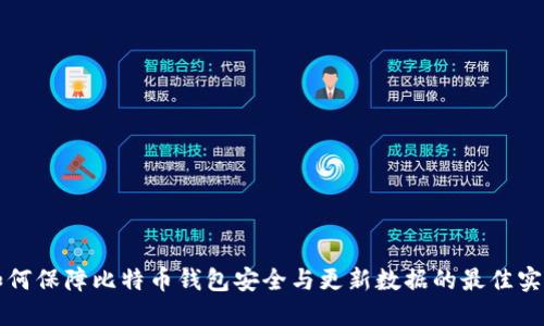 如何保障比特币钱包安全与更新数据的最佳实践