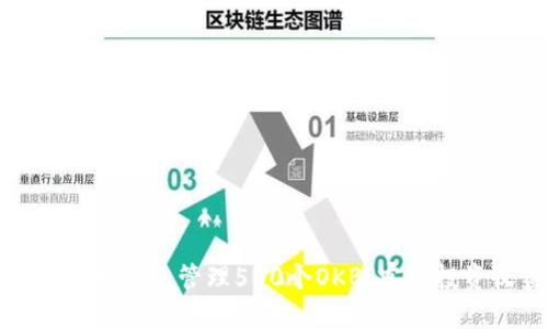 如何通过以太坊钱包管理500个OKB，实现投资收益最大化