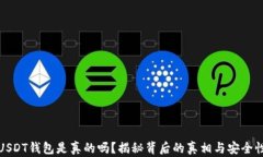 USDT钱包是真的吗？揭秘背后的真相与安全性