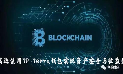 如何高效使用TP Terra钱包实现资产安全与收益最大化