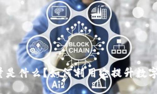 TP钱包中的能量是什么？如何利用它提升数字资产管理能力？