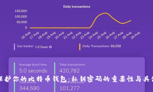 如何保护你的比特币钱包：私钥密码的重要性与具体成果