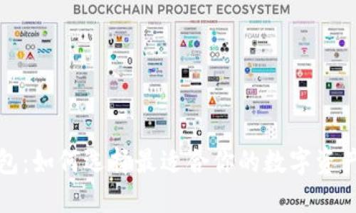 TP美版钱包：如何选择最适合你的数字资产管理工具