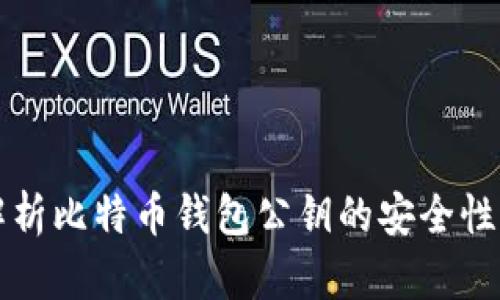 全面解析比特币钱包公钥的安全性与功能