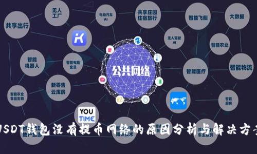USDT钱包没有提币网络的原因分析与解决方案