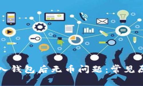 如何解决TP导入钱包后无币问题：常见原因与解决方案