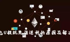 TP钱包U提现无法进行的原因及解决方案