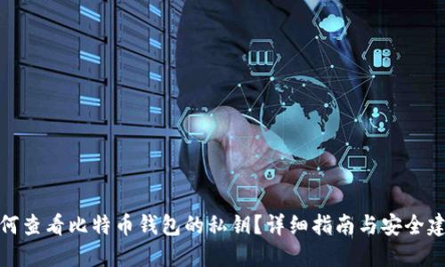 如何查看比特币钱包的私钥？详细指南与安全建议