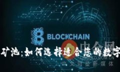 以太坊钱包与矿池：如何选择适合您的数字资产