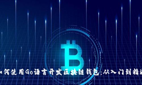如何使用Go语言开发区块链钱包：从入门到精通