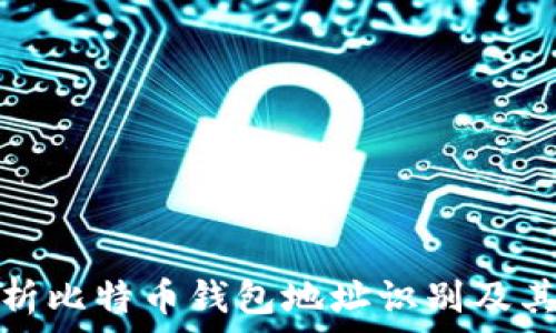   

深入解析比特币钱包地址识别及其重要性