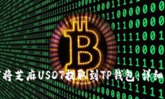 如何将芝麻USDT提取到TP钱包：详细攻略