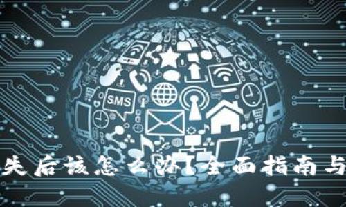 TP钱包丢失后该怎么办？全面指南与解决方案