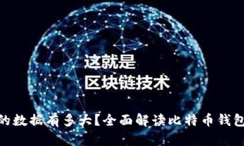 : 比特币钱包的数据有多大？全面解读比特币钱包容量及其影响