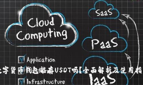 数字货币钱包能存USDT吗？全面解析及使用指南