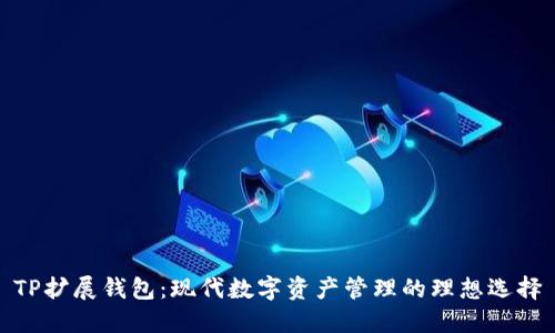 TP扩展钱包：现代数字资产管理的理想选择