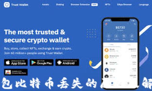 
麦子钱包比特币丢失的原因及解决方案