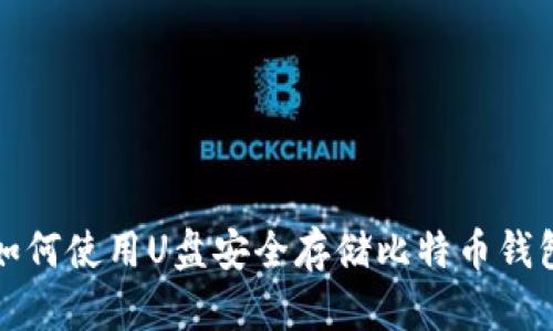 如何使用U盘安全存储比特币钱包