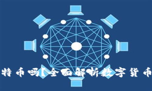 比特币钱包能放莱特币吗？全面解析数字货币钱包的多币种支持