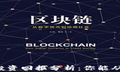 
区块链钱包投资回报分析：你能从中赚取多少？