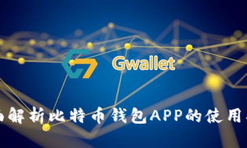 全面解析比特币钱包APP的使用指南