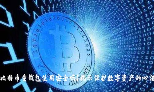比特币重钱包使用安全吗？揭示保护数字资产的心法