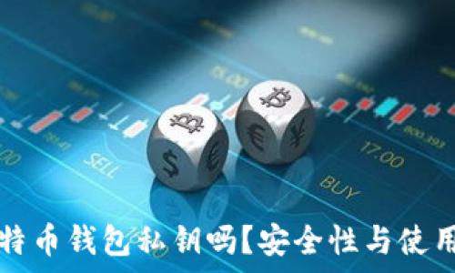   
你知道你的比特币钱包私钥吗？安全性与使用的重要性解析